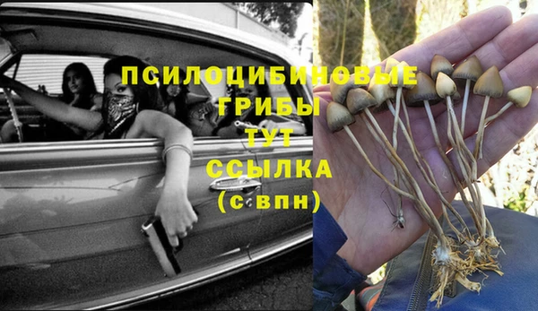 гашиш Абаза