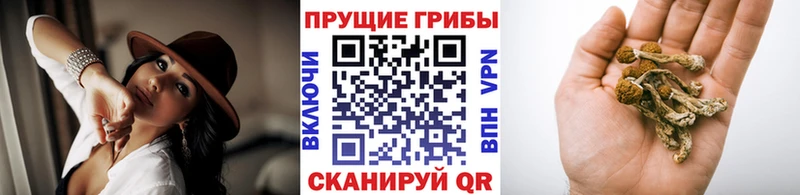 Галлюциногенные грибы Magic Shrooms  где найти наркотики  Ртищево 